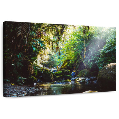 Forêt d'Alvord au Panama