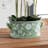 Desda Lotus Hand-Painted Chinoiserie Planter