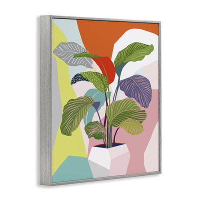 «Mid-Century», plante audacieuse blanche encadrée par Ioana Horvat