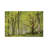 Beautiful Forest by Adam Burton - Wrapped Canvas Gallery-Wrapped Canvas Giclée-1001021176