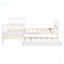 Lit Nardelli-88489562
