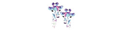 xuanlur logo