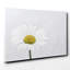 White Daisy - Wrapped Canvas-19096060