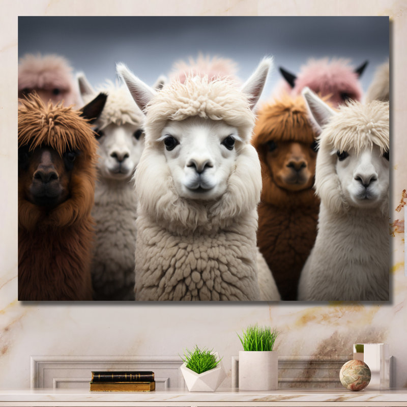 Alpacas Graceful Fibers - Imprimé, H 34 po x l 44 po x P 1,5 po, Toile tendue