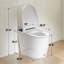 Toilette une pièce, toilette non électrique-129579835