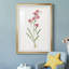 Délicat rose I - Cadre photo, reproduction d'art sur papier-832333477-832333474