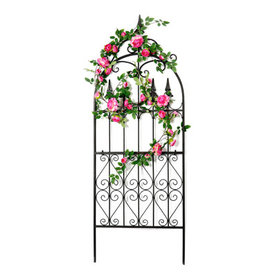 Jonecia 60'' H x 21.7'' Iron Gothic Garden Trellis for climbing plants