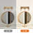 Modern 3-Light Armed Crystal Vanity Lighting