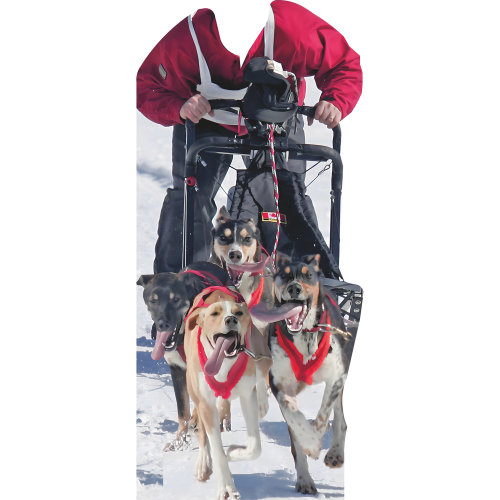 72'' Cardboard Standup