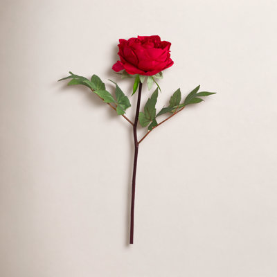 Peony Floral Stems