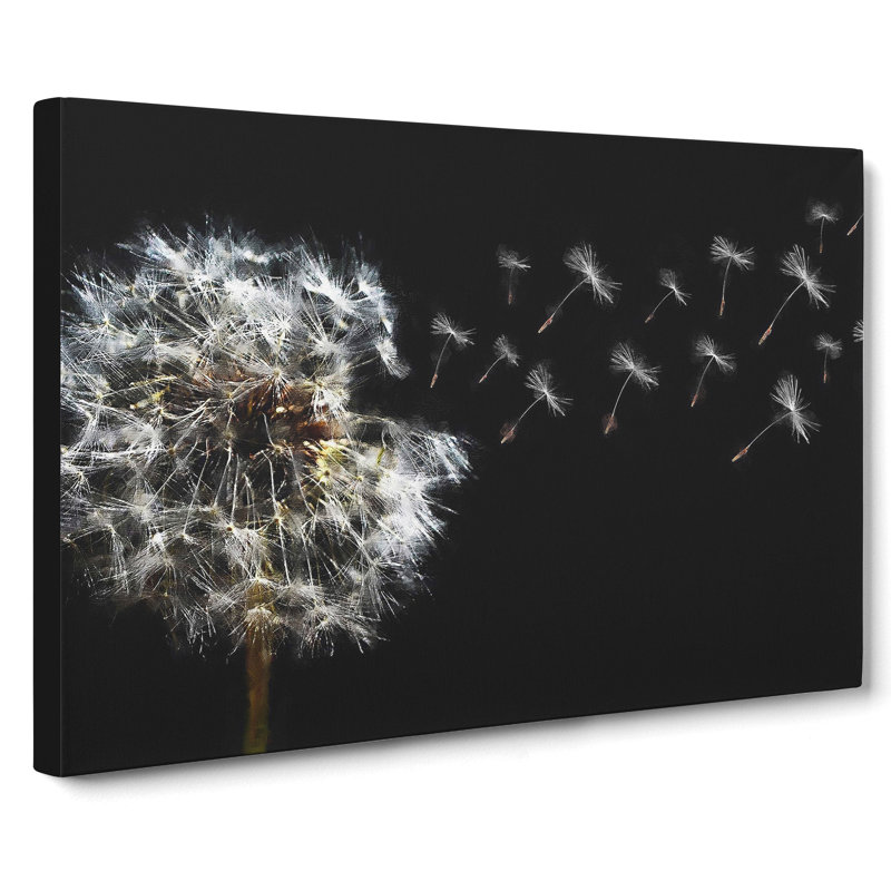 Dandelion Seeds Vol.10 - Wrapped Canvas Print, 50cm H x 76cm W x 3cm D