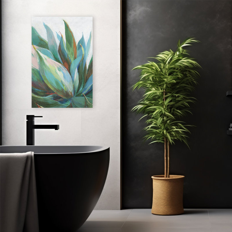 Agave et plante d'agave, H 24 po x l 16 po
