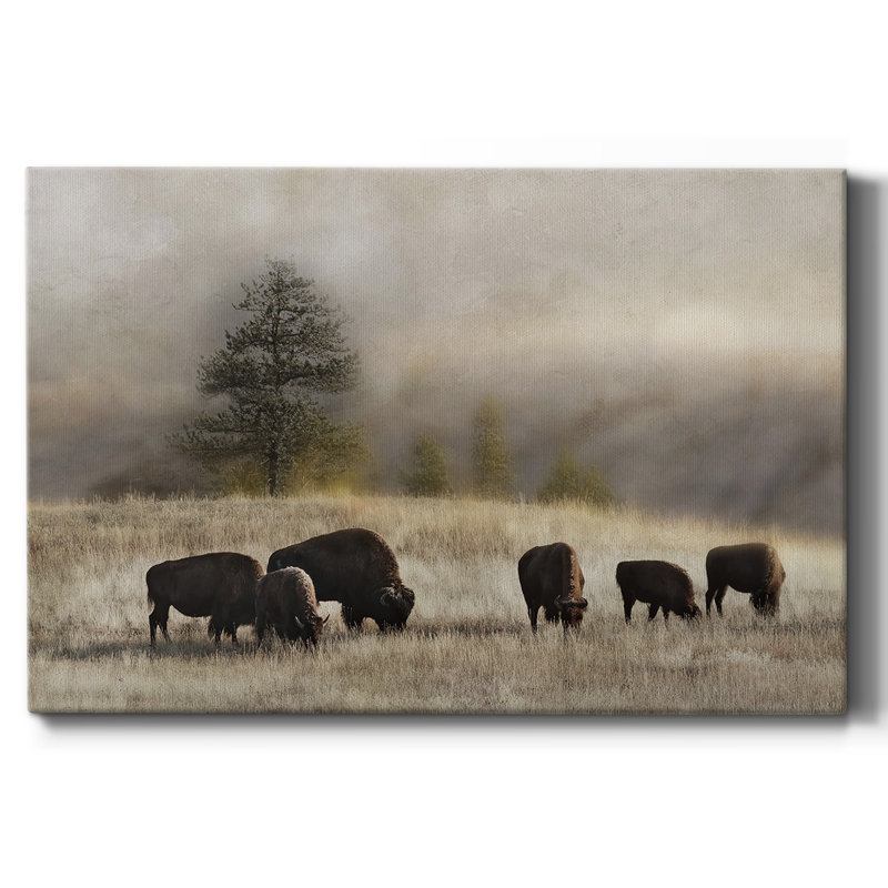 Ridge Grazing-Gallery Wrapped Canvas, 32" H x 48" W