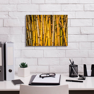 " Bamboo " by Mark A Paulda