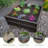 Raised Garden Bed 3-Pack (3 Beds, No Enclosure)