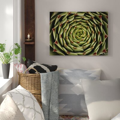 Floral Labyrinth I Color' Photographic Print on Wrapped Canvas -  Dakota Fields, 73D3181400604A99AEE55AC255D686B5