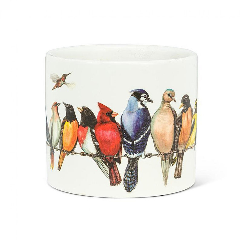Oiseaux colorés sur pot à fleurs