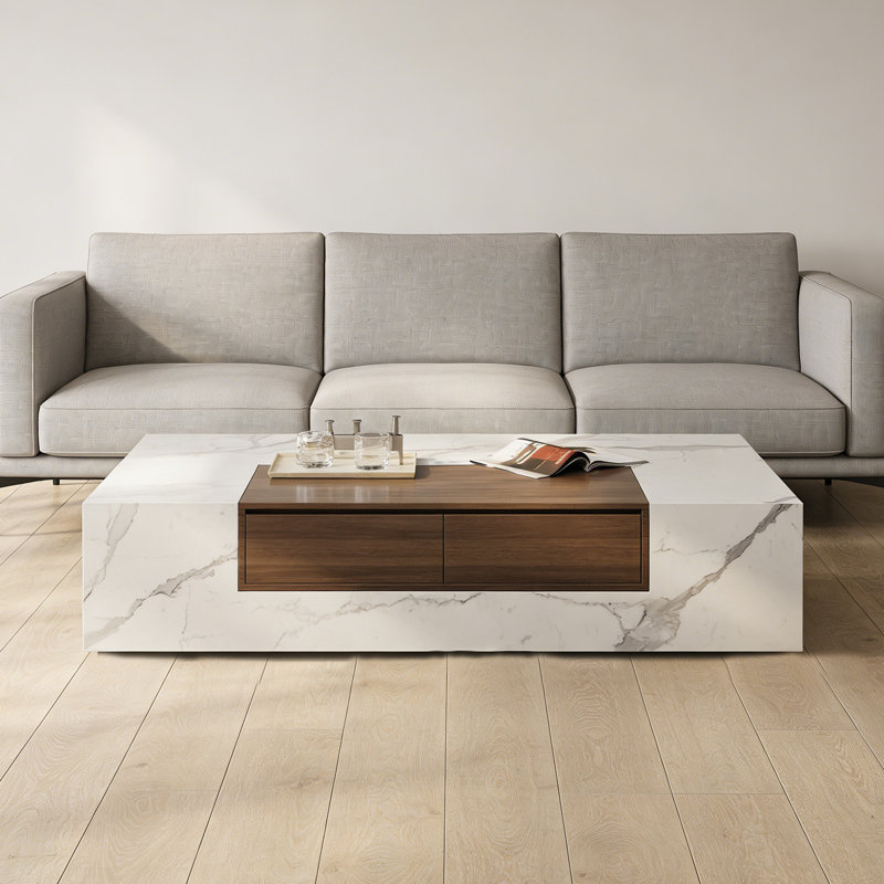 Table basse au style Ã©purÃ© et moderne avec 2 tiroirs, White/Light Gray, 13.77" H x 55.11" L x 27.55" W