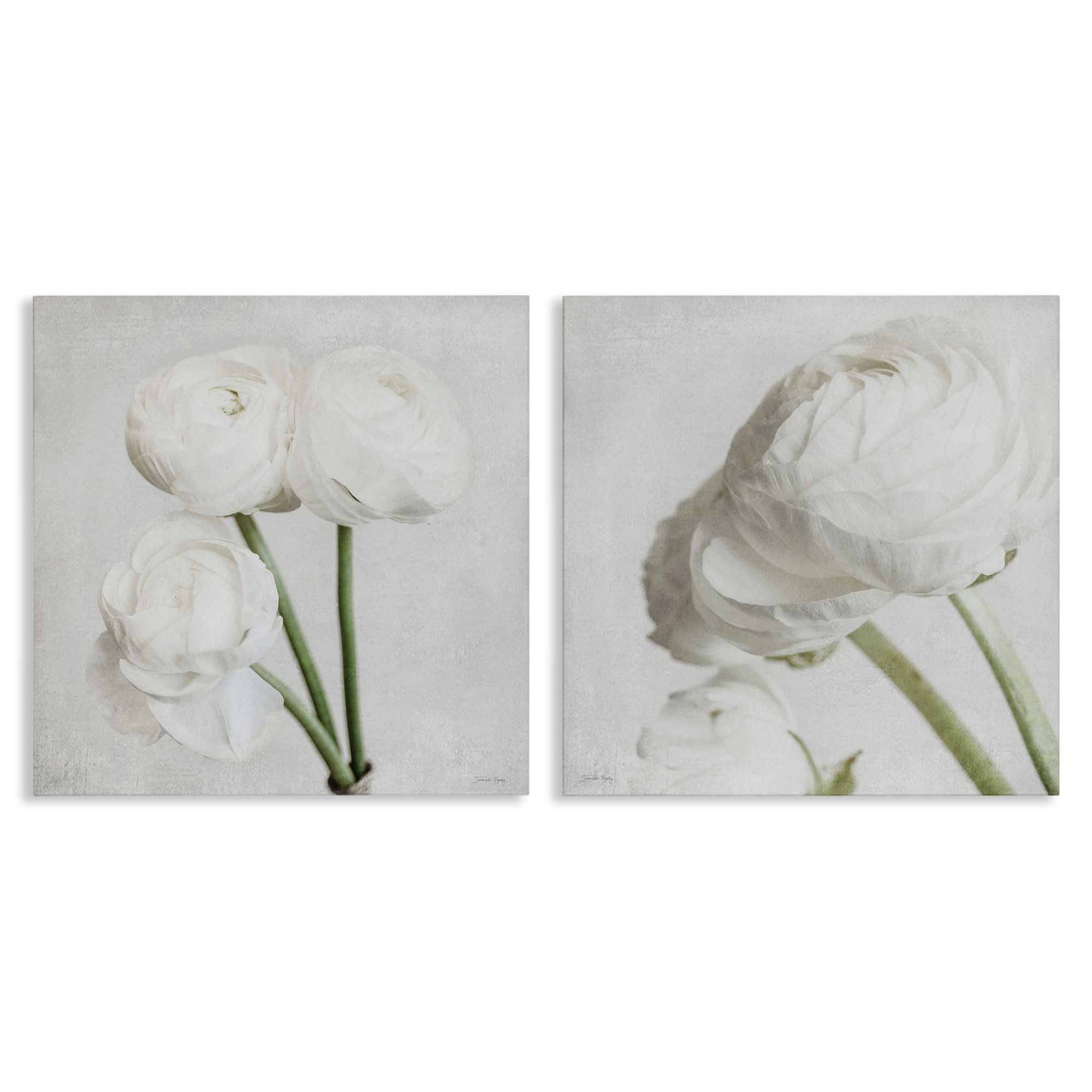 Red Barrel Studio Simple White Peony Stems 2 PC Canvas Wall Art Set by ...