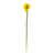 Yellow selected