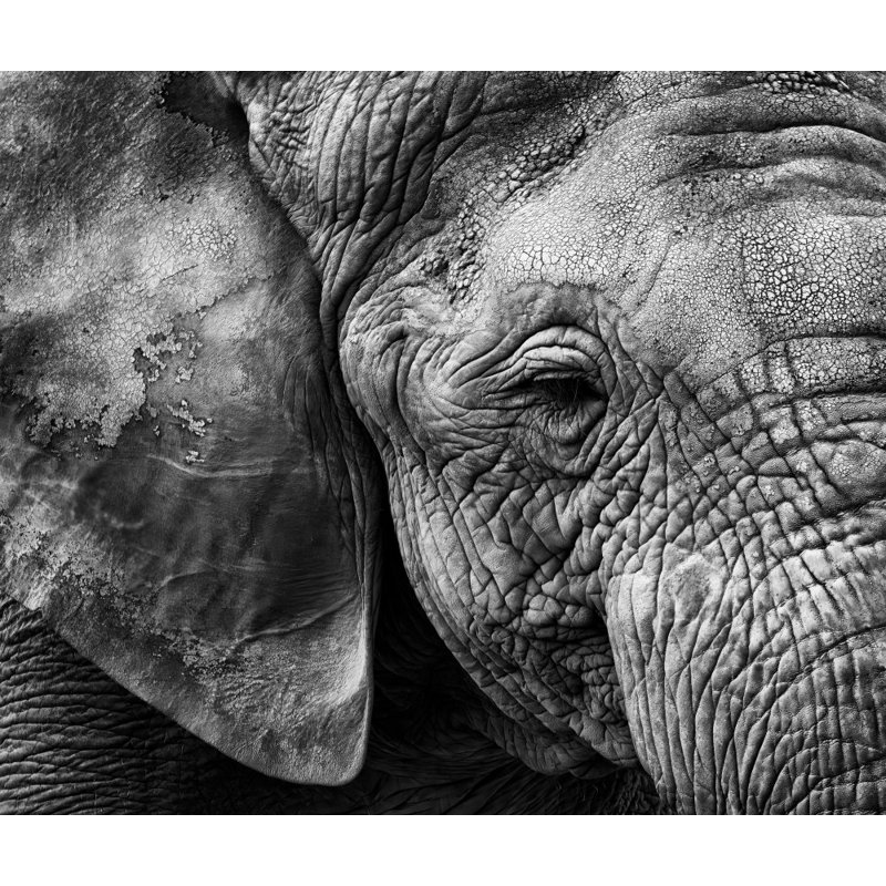 Wrapped Canvas Print, 60.96cm H x 91.44cm W