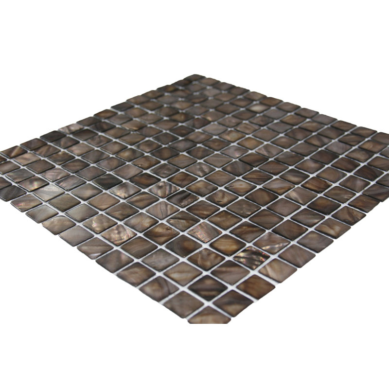 Sting 1" x 1" Coffee Seashell Mosaic Tile Waterproof Mesh Backed - 1 Sq Ft per Box for Kitchen, Coffee