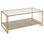Frieda Frame Coffee Table with Storage