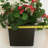 Lifelike Geranium Window Box Filler - Red-1121899502