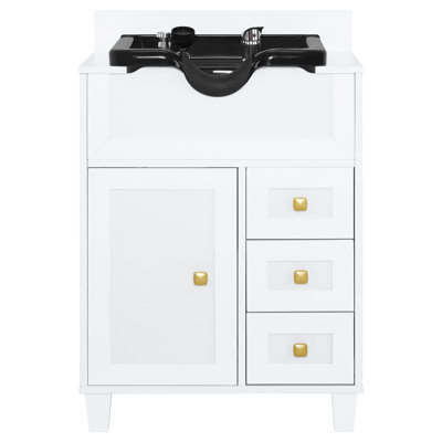 Utility Sink with Backwash Shampoo bowl and Storage Drawers