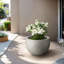 Pot à fleurs en ciment Highwoods-1168435962-1168435959