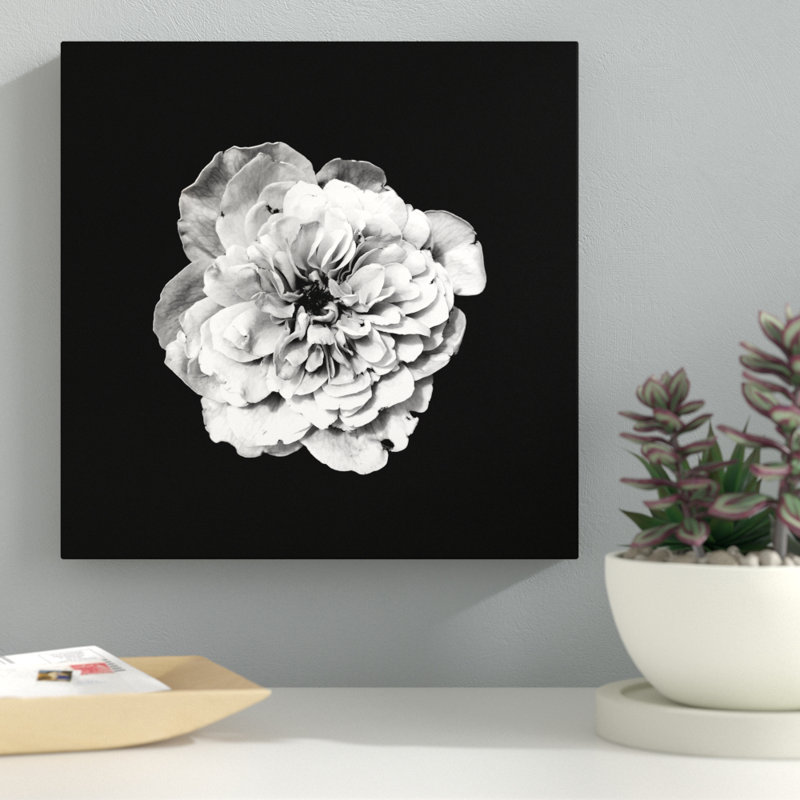 « white floral on black background », reproduction de photo sur toile