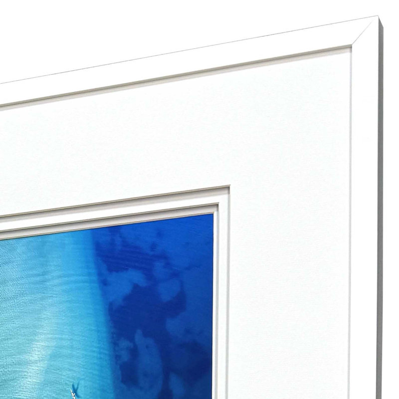 Nature From Above Framed Art