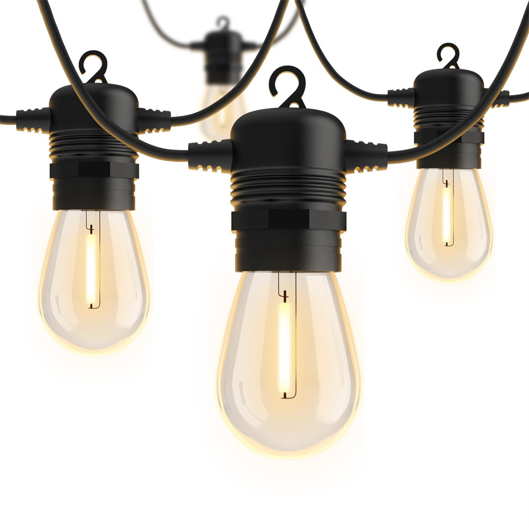 Cavalieri 4.5cm 30 - Bulb Globe String Light