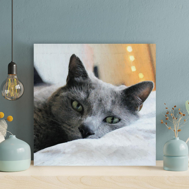 Chat russe bleu couché sur du blanc 1 - 1 pièce, impression carrée sur toile tendue, H 32 po x l 32 po x P 2 po