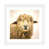 Papier beaux-arts encadré blanc n'est pas disponible
