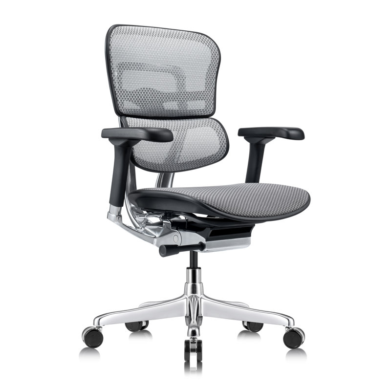 Tempur-Pedic Ergohuman GEN2 Mid Back Ergonomic Office Chair with Tempur-Pedic Seat, Adjustable Arms, Seat Height, Tilt Lock and Lumbar Support, Mesh Back