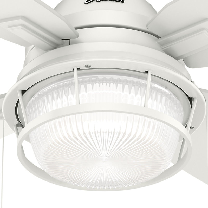 52" Ocala 4 - Blade Outdoor Standard Ceiling Fan with Pull Chain and Light Kit Included, Fresh White
