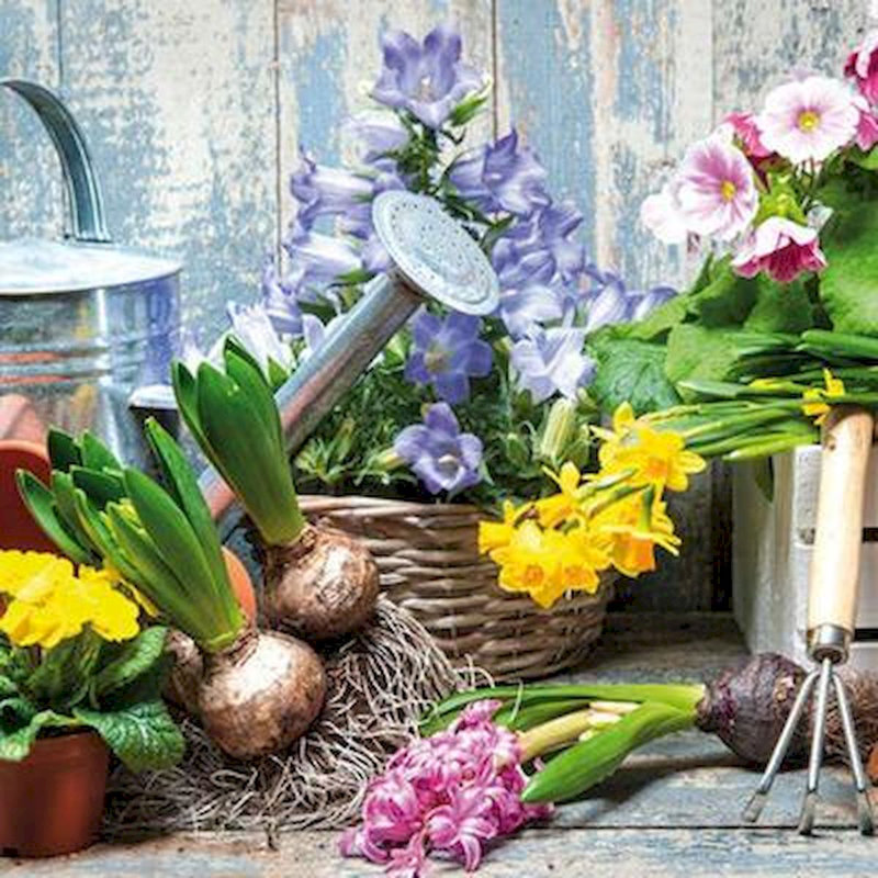 Serviettes jetables de jardinage en papier