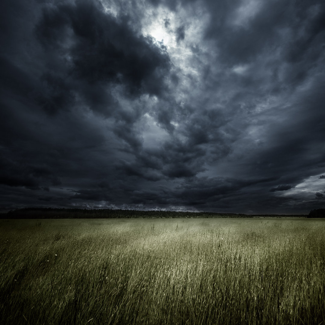 Feld bei Sturm von Da-kuk - Leinwandbild