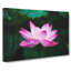 Pink Water Lily Flower Vol.2 - Wrapped Canvas Print-61838346