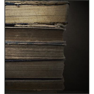 Book Shelf Painting by Thom Filicia