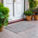 Machine Washable Indoor/Outdoor Claudian ACN1634 Linen Rug