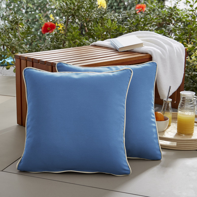 Housse et insert de coussin extérieur d'extérieur, 24" X 24", Bleu clair / ivoire