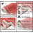 Dobrinka 100% Cotton Bath Rug - 17"x24", 21"x34"-999321119