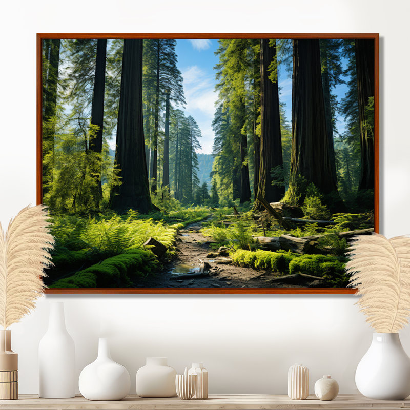 «Redwood Giants Tree Forest II», reproduction d'art sur toile, H 34 po x l 44 po x P 1,5 po, Brun