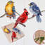 Ornement en forme de pince de la collection Designocracy