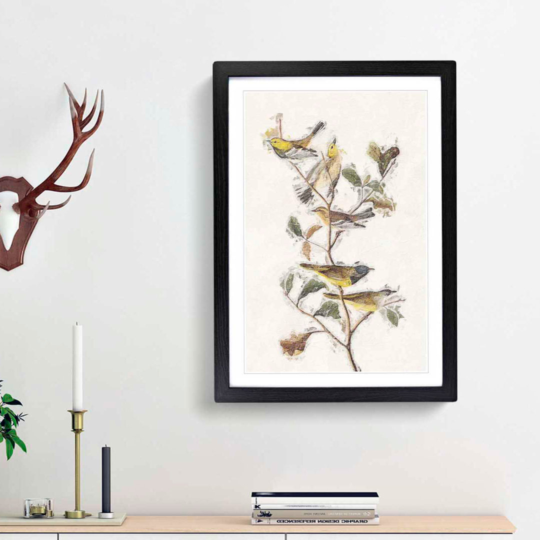 Black-Throated Green Warbler by John James Audubon - Picture Frame Painting Print