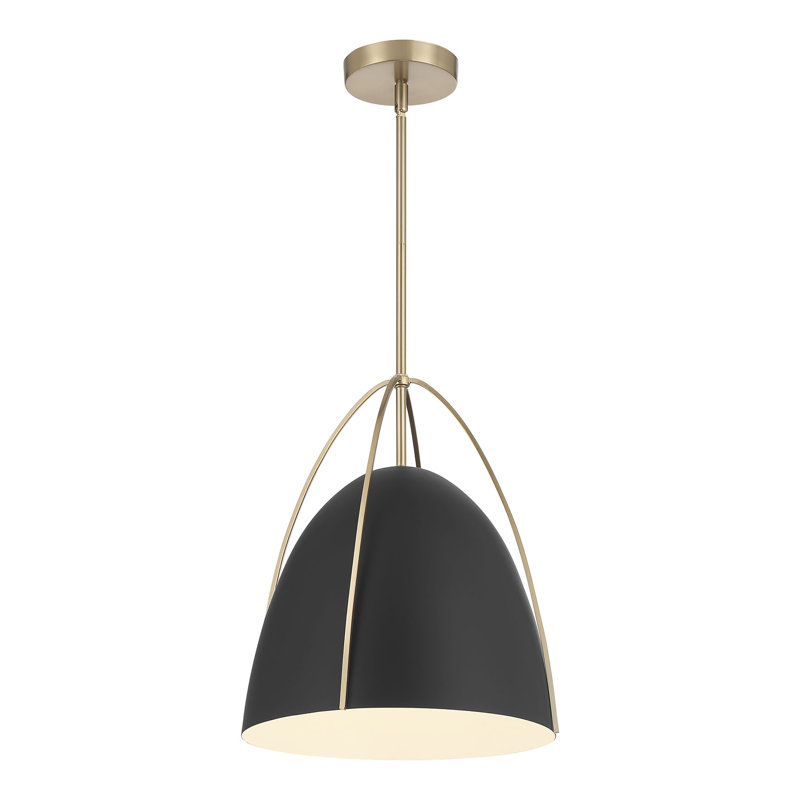 Luminaire suspendu 1 lumière Pomelle, Noir mat