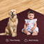 Tapis de couleur unie pour l'intérieur et l'extérieur Whitney Furnish my Place-904312454