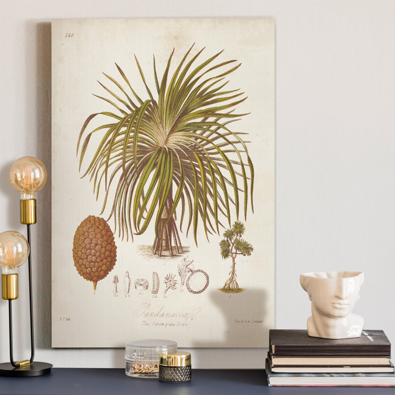 « Antique tropical Palm II », reproduction d’art sur toile tendue, H 36 po x l 24 po x P 1 po